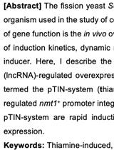 裂解酵母裂殖酵母的快速诱导过表达系统