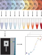 Thermal Proteome Profiling to Identify Protein-ligand Interactions in the Apicomplexan Parasite <em>Toxoplasma gondii</em>