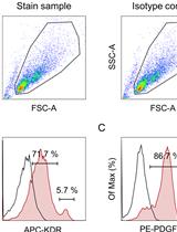 High-throughput 3D Spheroid Formation and Effective Cardiomyocyte Differentiation from Human iPS Cells Using the Microfabric Vessels EZSPHERETM