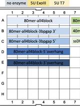 Measuring Real-time DNA/RNA Nuclease Activity through Fluorescence