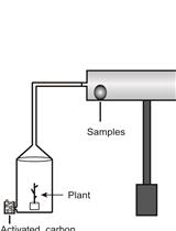 Preference Test of Plutella xylostella Larvae upon DMNT Treatment