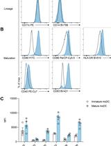 Suppression of Human Dendritic Cells by Regulatory T Cells