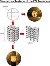 Development of a 3D Bioprinted Scaffold with Spatio-temporally Defined Patterns of BMP-2 and VEGF for the Regeneration of Large Bone Defects