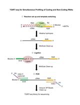 用于全面分析细胞、细胞外囊泡和血浆 RNA 中编码和非编码 RNA 生物型的 TGIRT-seq 方法