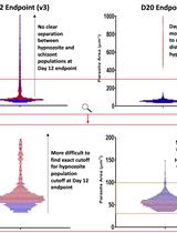 间日疟原虫肝脏阶段的表型筛选