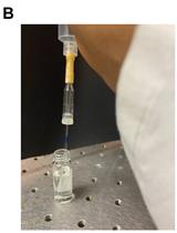 Preparation of Giant Escherichia coli spheroplasts for Electrophysiological Recordings