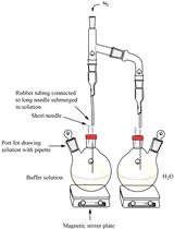 An <em>in vitro</em> Coupled Assay for PEPC with Control of Bicarbonate Concentration 