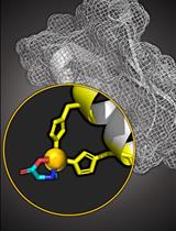 Copper Based Site-directed Spin Labeling of Proteins for Use in Pulsed and Continuous Wave EPR Spectroscopy