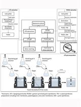 Extraction and Electrophoretic Analysis of Bacterial Lipopolysaccharides and Outer Membrane Proteins