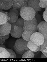 A Simple Technique for Direct Immobilization of Target Enzymes from Cell Lysates Based on the SpyTag/SpyCatcher Spontaneous Reaction