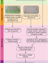 Real-Time Analysis of Mitochondrial Electron Transport Chain Function in <em>Toxoplasma gondii</em> Parasites Using a Seahorse XFe96 Extracellular Flux Analyzer