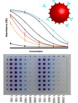A High-throughput Automated ELISA Assay for Detection of IgG Antibodies to the SARS-CoV-2 Spike Protein 