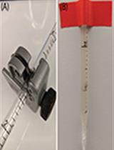 Measuring Oligonucleotide Hydrolysis in Cellular Lysates via Viscosity Measurements 