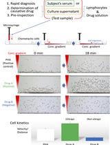 HiSAT: A Novel Method for the Rapid Diagnosis of Allergy