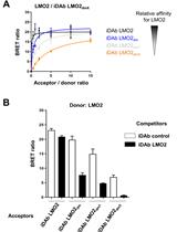 A Cell-based Screening Method Using an Intracellular Antibody for Discovering Small Molecules Targeting Hard-to-drug Proteins