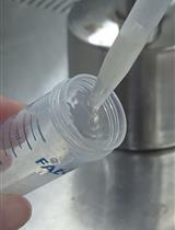 基于CRISPR/Cas9系统的大豆疫霉转化