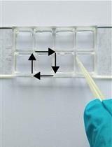 荧光法测定巨大单层囊泡中磷脂爬行酶活性的方法