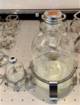 Tracking the Reversed Oxidative Tricarboxylic Acid Cycle in Bacteria