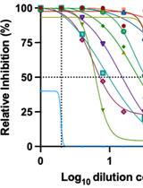 Identification of SARS-CoV-2 Neutralizing Antibody with Pseudotyped Virus-based Test on HEK-293T hACE2 Cells