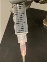 分离成年小鼠和大鼠的心肌细胞