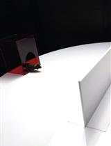 Protocol to Study Spatial Subgoal Learning Using Escape Behavior in Mice