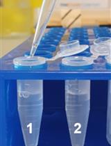 HaloChIP-seq for Antibody-Independent Mapping of Mouse Transcription Factor Cistromes in vivo