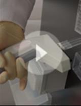 In-Cell Western Protocol for Semi-High-Throughput Screening of Single Clones