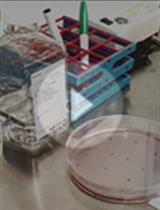 A Fast and Reliable Method to Generate Pure, Single Cell-derived Clones of Mammalian Cells