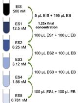 Protein Tyrosine Phosphatase Biochemical Inhibition Assays