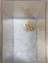 A Simplified Paradigm of Late Gestation Transient Prenatal Hypoxia to Investigate Functional and Structural Outcomes from a Developmental Hypoxic Insult