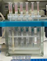 豌豆腋芽植物激素和 RNA 的提取与定量