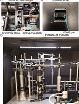 利用倏逝散射显微镜进行单分子蛋白检测和成像
