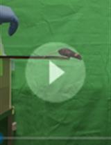 Motion-capture Analysis of Mice Using a Video Recorded on an iPhone Camera