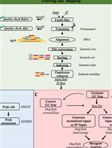 OxiDIP-Seq for Genome-wide Mapping of Damaged DNA Containing 8-Oxo-2'-Deoxyguanosine