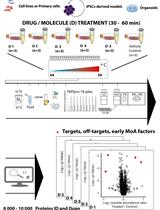 Proteome Integral Solubility Alteration (PISA) Assay in Mammalian Cells for Deep, High-Confidence, and High-Throughput Target Deconvolution