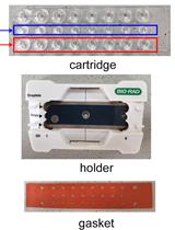 Measurement of Transgenes Copy Number in Wheat Plants Using Droplet Digital PCR