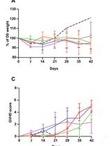Modelling Graft-Versus-Host Disease in Mice Using Human Peripheral Blood Mononuclear Cells