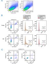 Improved Macrophage Enrichment from Mouse Skeletal Muscle