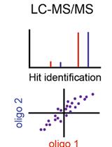 Single Oligonucleotide Capture of RNA And Temperature Elution Series (SOCRATES) for Identification of RNA-binding Proteins