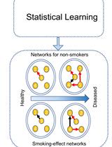 A Cartographic Tool to Predict Disease Risk-associated Pseudo-Dynamic Networks from Tissue-specific Gene Expression