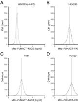 High-throughput Assessment of Mitochondrial Protein Synthesis in Mammalian Cells Using Mito-FUNCAT FACS