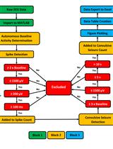 Fast Detection and Quantification of  Interictal Spikes and Seizures in a  Rodent Model of Epilepsy Using an  Automated Algorithm