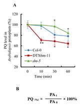 Determination of Paraquat in Arabidopsis Tissues and Protoplasts by UHPLC-MS/MS