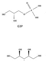 Rapid and Reliable Quantification of Glycerol-3-phosphate Using Gas Chromatography–coupled Mass Spectrometry