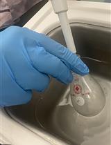 负载IL-22 mRNA的脂质纳米颗粒的制备与表征