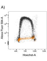 Analysis of RNA Polymerase II Chromatin Binding by Flow Cytometry