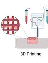 Protocol for 3D Bioprinting Mesenchymal Stem Cell–derived Neural Tissues Using a Fibrin-based Bioink