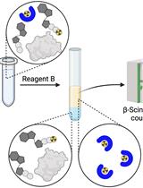 Measuring in vitro ATPase Activity with High Sensitivity Using Radiolabeled ATP