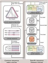 Rapid Identification of Pathogens in Severe Pneumonia by Species-specific Bacterial Detector (SSBD)