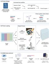 Automated 384-well SYBR Green Expression Array for Optimization of Human Induced Pluripotent Stem Cell Differentiation
